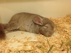 iphone_upload_pic-龙猫仔乐园(惠福东路店)