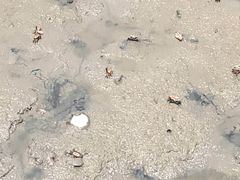 -北海金海湾红树林生态旅游区