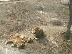 -西安秦岭野生动物园