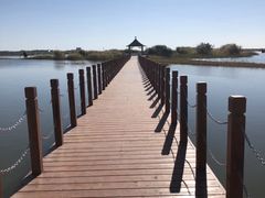 -亿利库布其七星湖沙漠生态旅游区