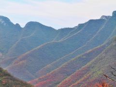 -相聚青山餐厅(阎河路店)