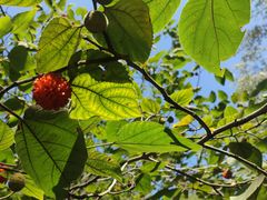 -北京西山国家森林公园