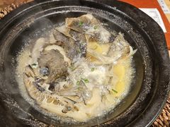 -邹开喜·炭炉鸡煲·海鲜火锅(虹口足球场店)