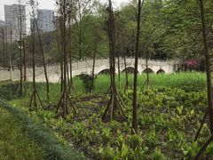 -重庆彩云湖湿地公园