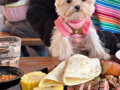 -Pistolera Mexican Cantina女枪手墨西哥餐厅(碧云路店)