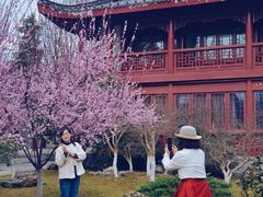 -堤角公园