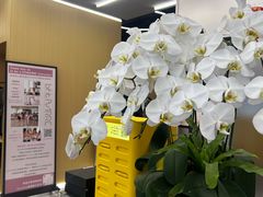 -Z&B Fitness Studio·Gym(前滩L+PLAZA店)