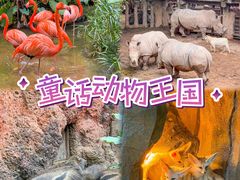 -长鹿旅游休博园