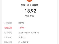 -清真李唯一优质肉丸糊辣汤