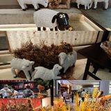 快乐小羊都进锅里来吧