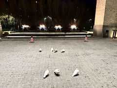 -清河半岛温泉度假酒店