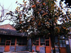 -北京国子监胡同