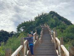 -大岭沟猕猴桃谷风景区
