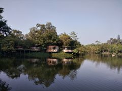 -老木棉·匠园
