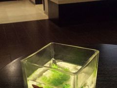 -南京新街口桔子水晶酒店