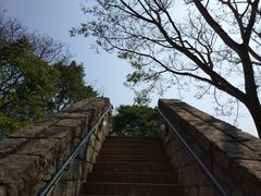 -九龙公园
