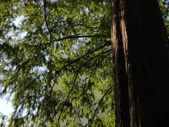 -昆嵛山石门里景区