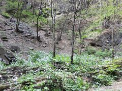 -野三坡百里峡景区