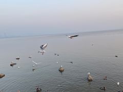 -深圳湾公园(南山区)