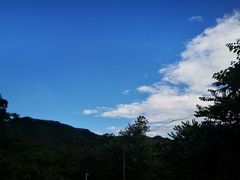 -田心森林公园