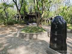 -上海佘山国家森林公园天马山园