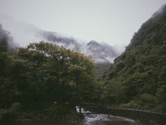 -白云源风景区