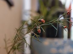 -三仟津花园咖啡馆