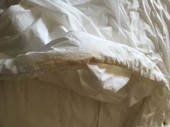 金陵饭店-南京金陵饭店