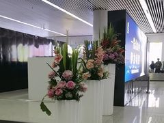 -乌鲁木齐天山国际机场-T3航站楼