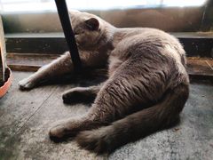 -第三空间·趣味桌游·轰趴.室内CS.剧本杀(大武汉1911店)