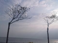 -青澳湾北回归线广场