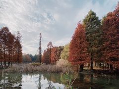 -白塘生态植物园