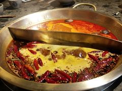 番茄鸳鸯-小龙坎火锅(总店)