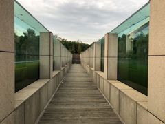 -鄱阳湖国家湿地公园