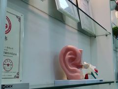 -惠耳听力助听器(南京惠耳国际听力中心)