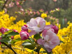 -元大都城垣遗址公园