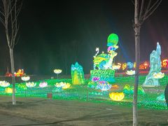 -金沙湖旅游度假区