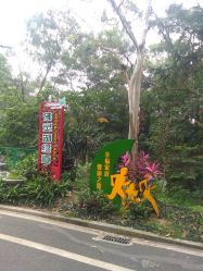 -佛灵湖水上乐园