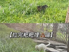 -北海公园