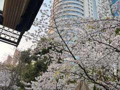 -玛格萝妮比萨屋(四平店)
