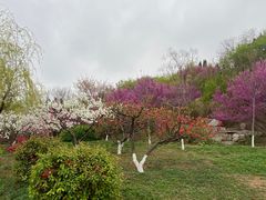 -山东理工大学