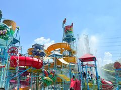 -苏州乐园森林水世界