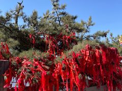 -终南山南五台景区