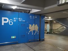 -虹桥综合交通枢纽-P6停车库