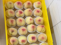 -老袁家蜜桃农场·阳山水蜜桃