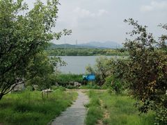 -永定河休闲森林公园