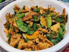 青辣椒炒肉-壹盏灯(惠农店)
