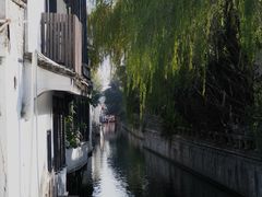-狐狸家·酸奶酪专门店(平江路店)