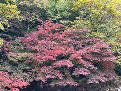 -关门山森林公园