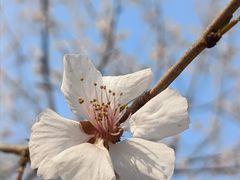 -东升八家郊野公园